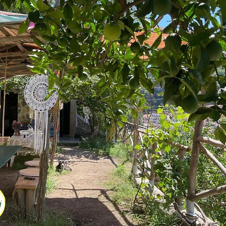Cetara Camping Amalfitan Coast Otel Dış mekan fotoğraf