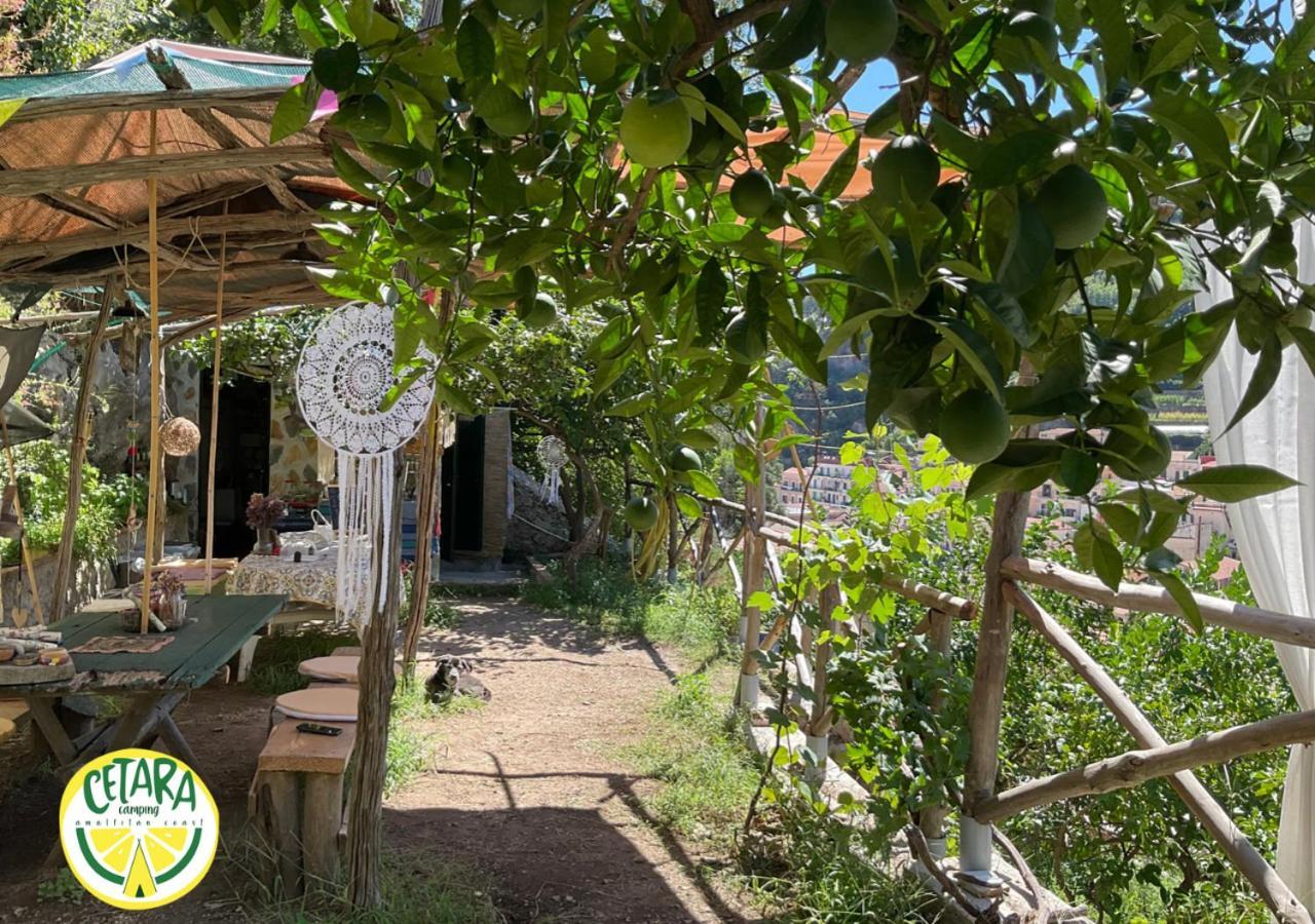 Cetara Camping Amalfitan Coast Otel Dış mekan fotoğraf